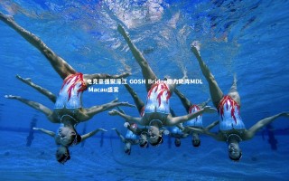 九游体育登录入口_电竞豪强聚濠江 GOSH Bridge鼎力助阵MDL Macau盛宴